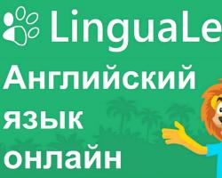 Лучшие платформы для изучения иностранного языка